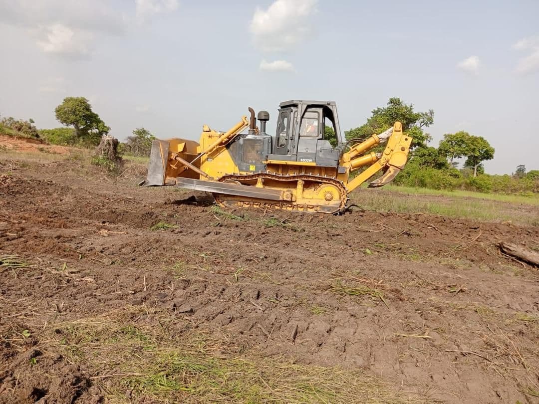 ADERIZ (Agence pour le Développement de la Filière Riz)  - image 1