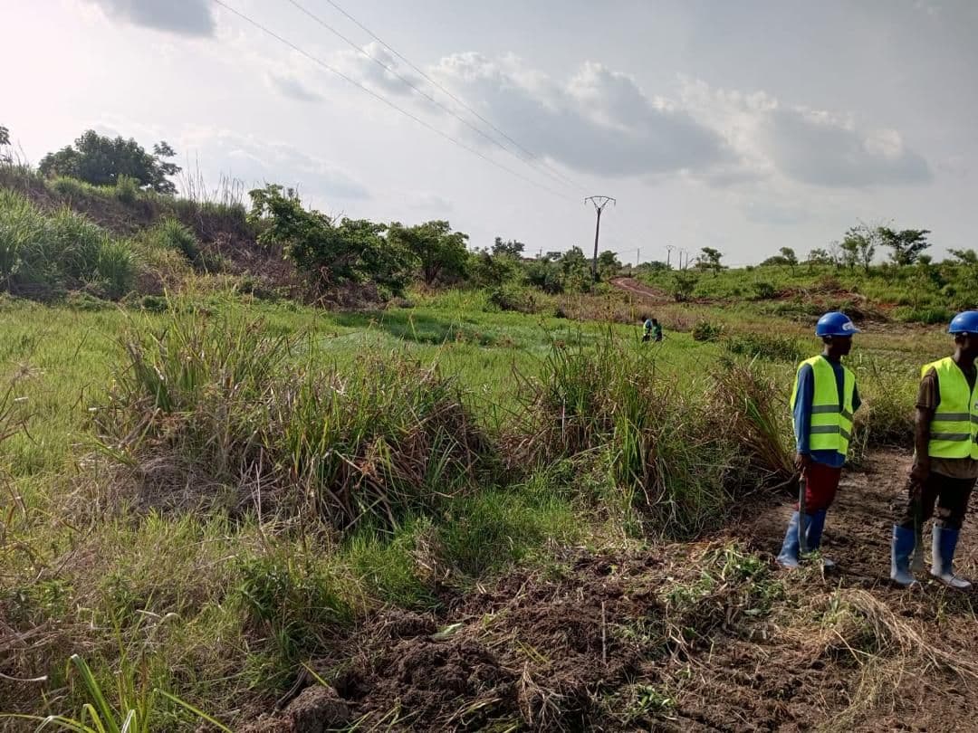 ADERIZ (Agence pour le Développement de la Filière Riz)  - image 2