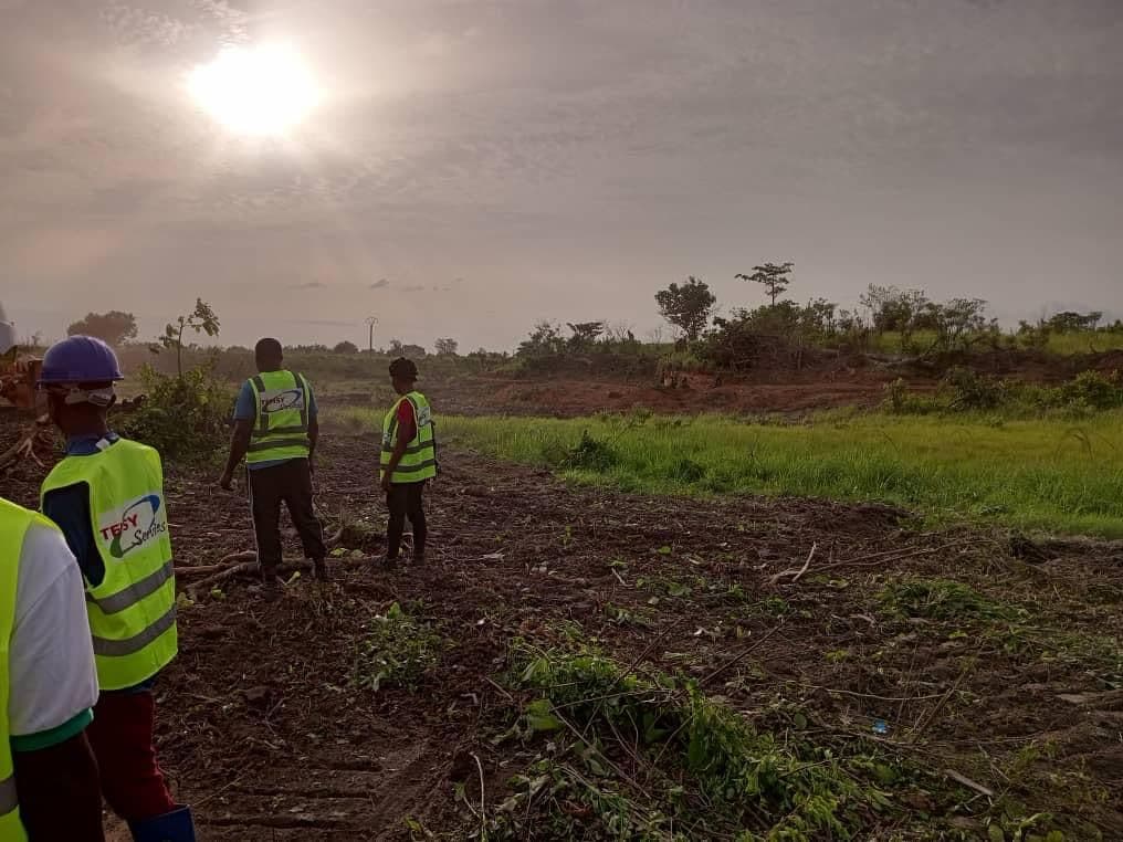 ADERIZ (Agence pour le Développement de la Filière Riz)  - image 3