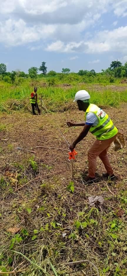 ADERIZ (Agence pour le Développement de la Filière Riz)  - image 5