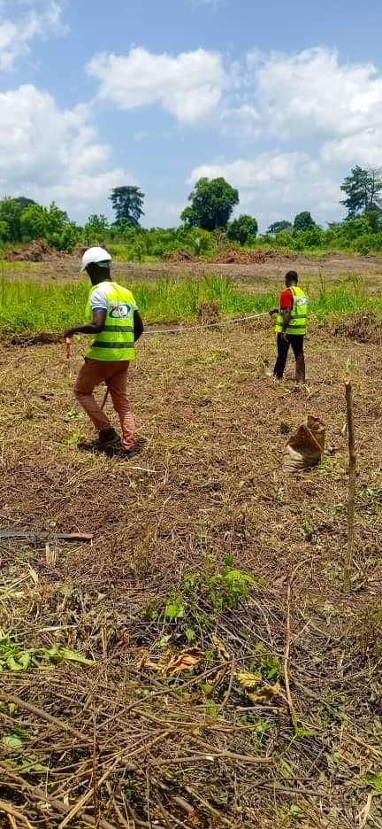 ADERIZ (Agence pour le Développement de la Filière Riz)  - image 6