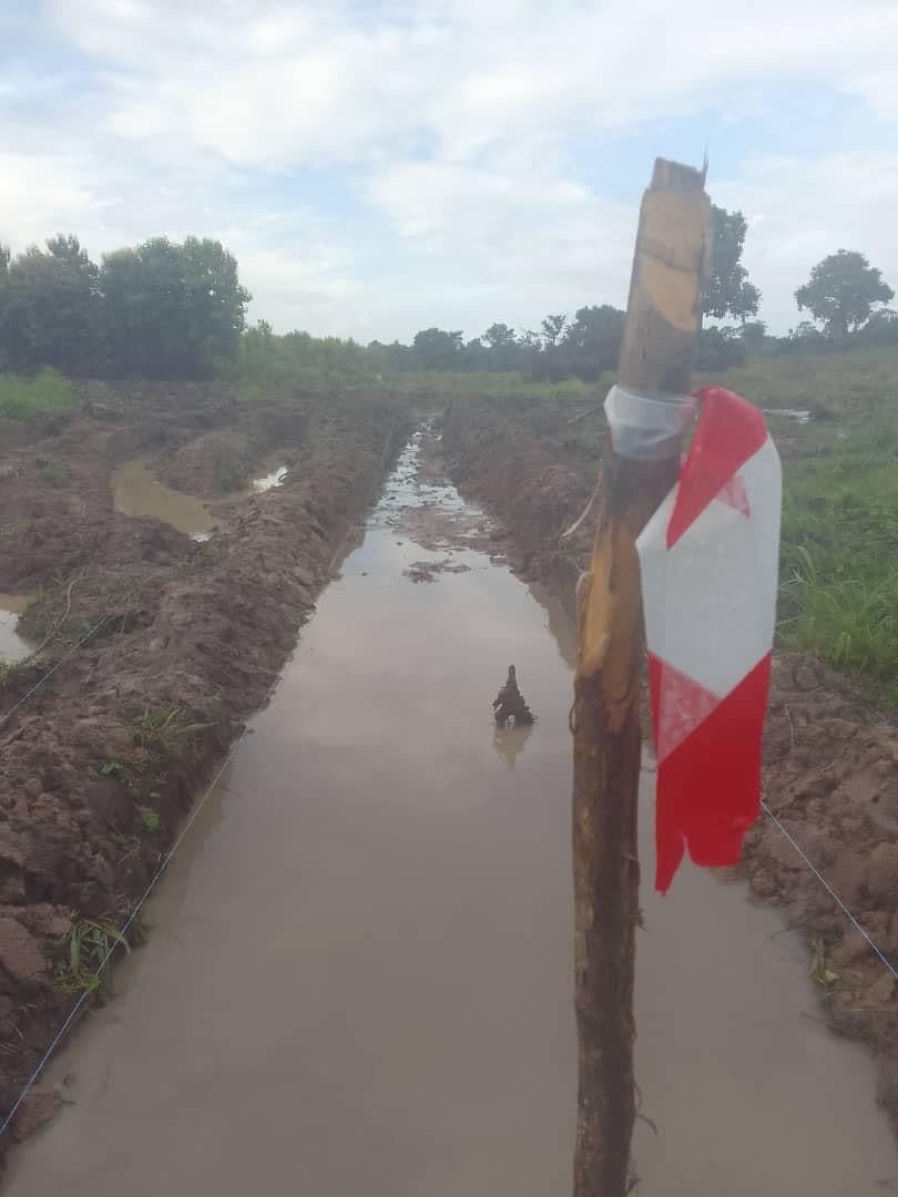 ADERIZ (Agence pour le Développement de la Filière Riz)  - image 8