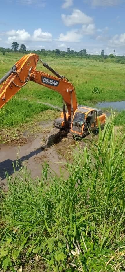 ADERIZ (Agence pour le Développement de la Filière Riz)  - image 9