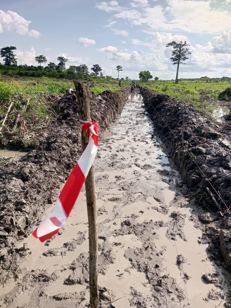 ADERIZ (Agence pour le Développement de la Filière Riz)  - image 10