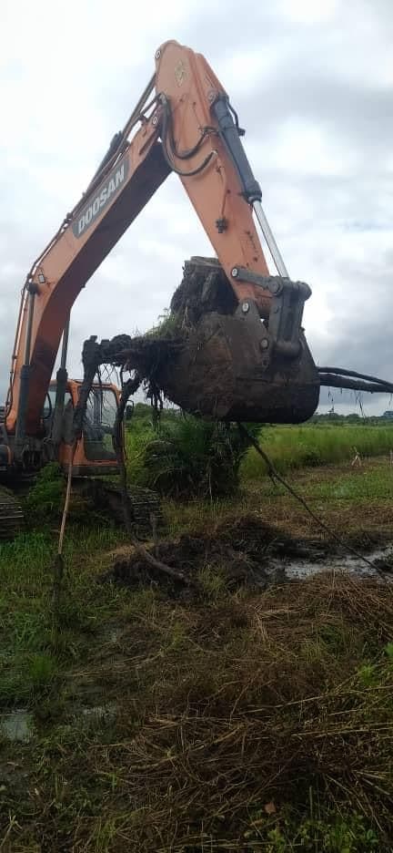 ADERIZ (Agence pour le Développement de la Filière Riz)  - image 11