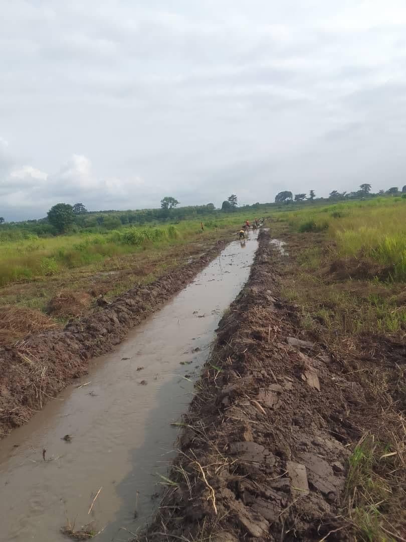 ADERIZ (Agence pour le Développement de la Filière Riz)  - image 12