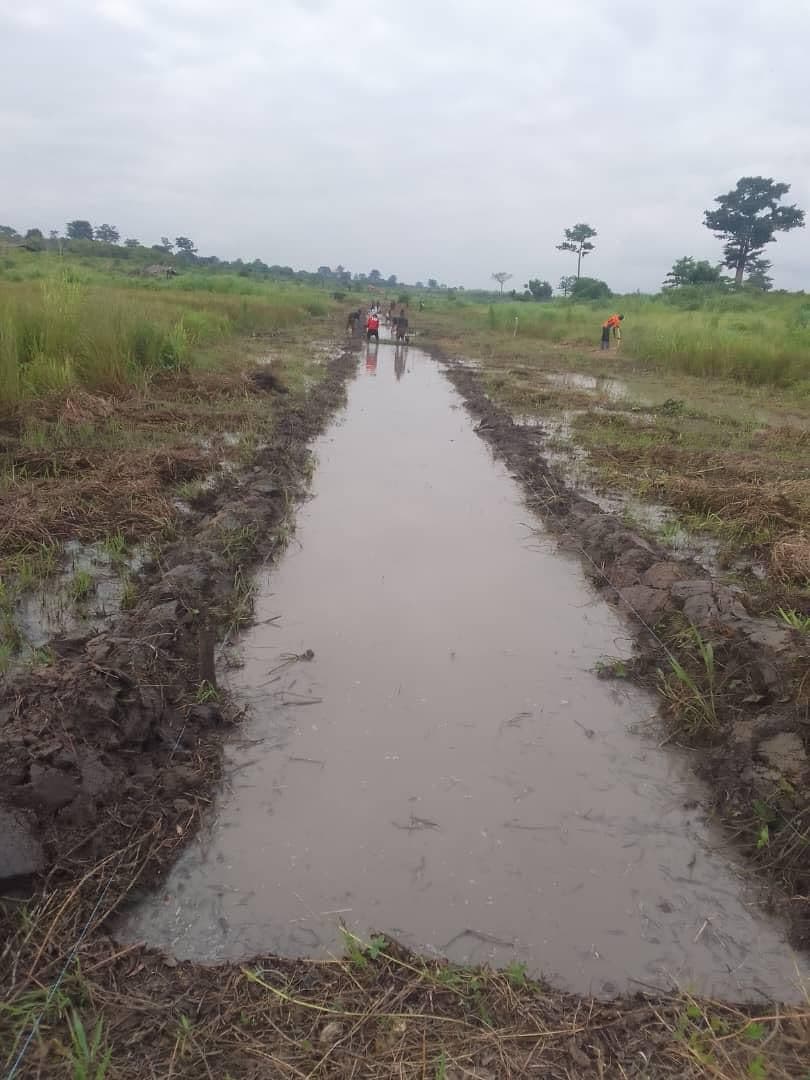 ADERIZ (Agence pour le Développement de la Filière Riz)  - image 14