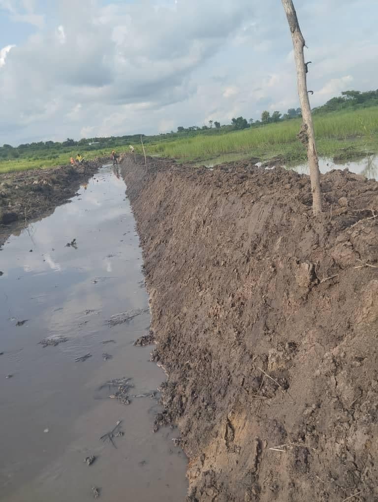 ADERIZ (Agence pour le Développement de la Filière Riz)  - image 16