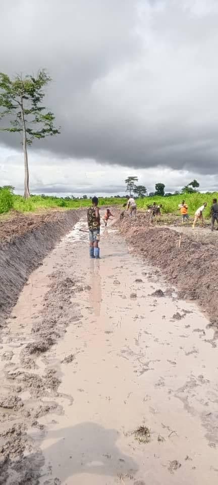 ADERIZ (Agence pour le Développement de la Filière Riz)  - image 21