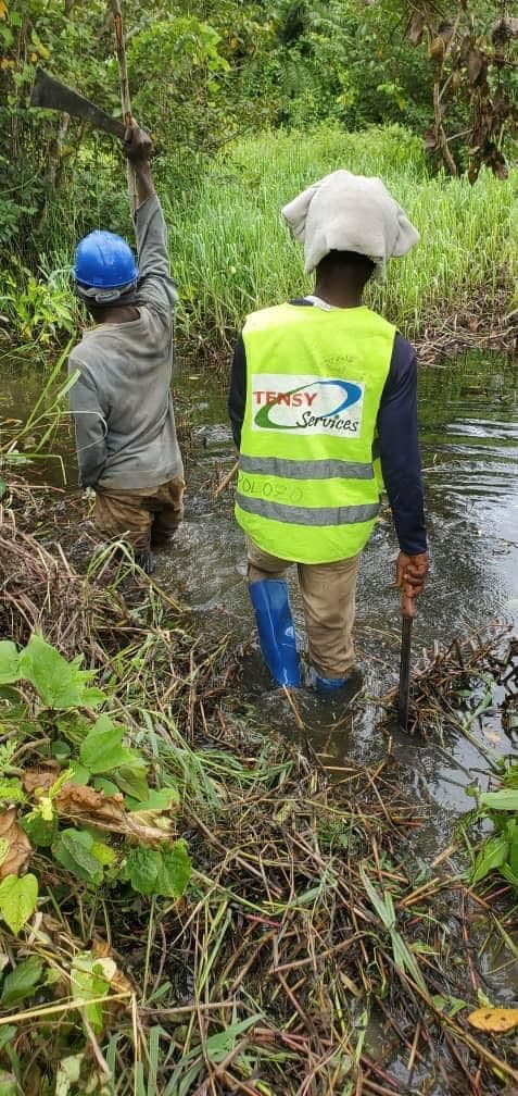 ADERIZ (Agence pour le Développement de la Filière Riz)  - image 23