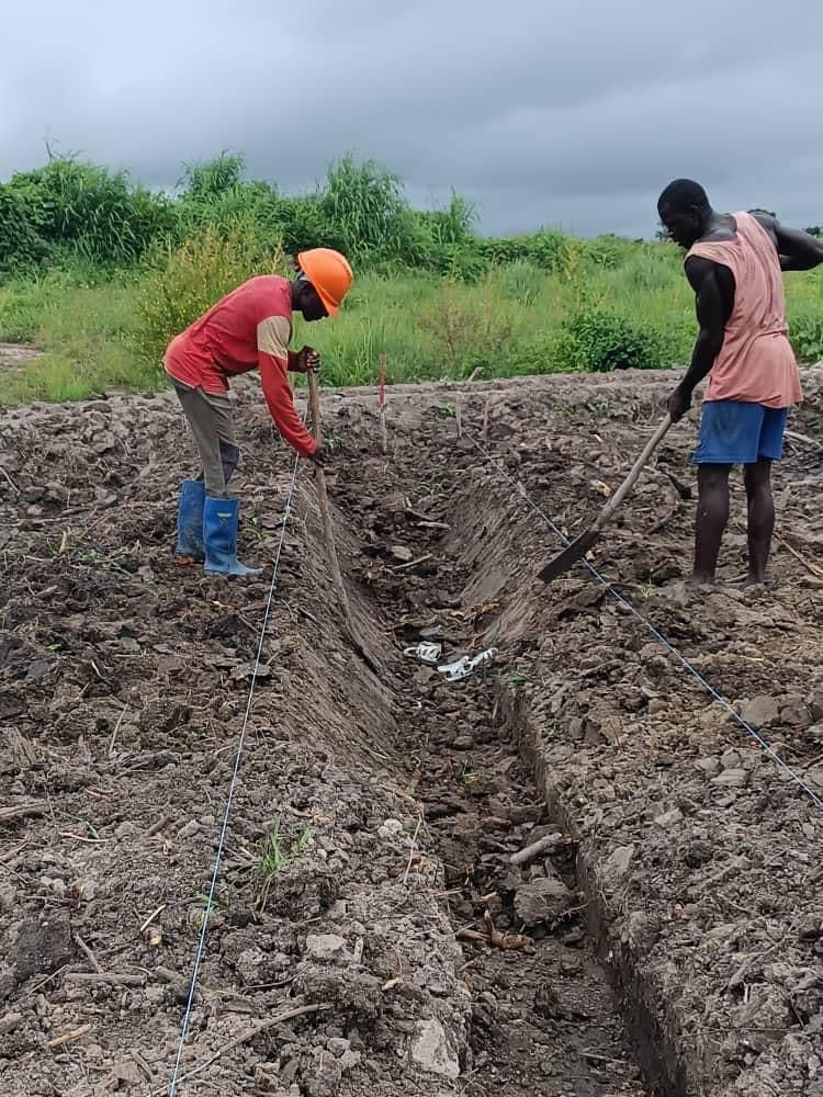 ADERIZ (Agence pour le Développement de la Filière Riz)  - image 24
