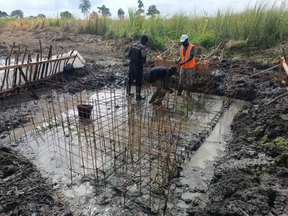 ADERIZ (Agence pour le Développement de la Filière Riz)  - image 32