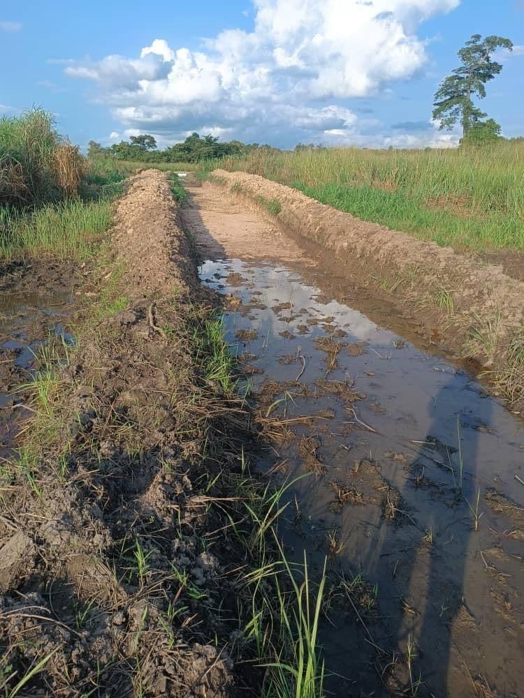 ADERIZ (Agence pour le Développement de la Filière Riz)  - image 37