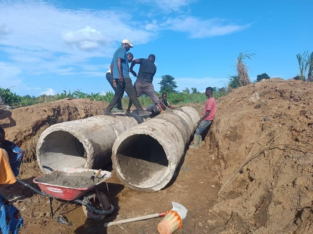 ADERIZ (Agence pour le Développement de la Filière Riz)  - image 39