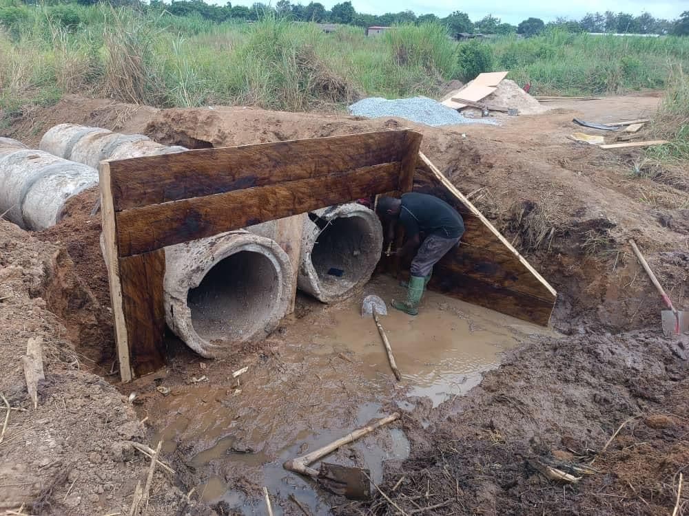 ADERIZ (Agence pour le Développement de la Filière Riz)  - image 40