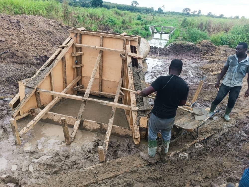 ADERIZ (Agence pour le Développement de la Filière Riz)  - image 41