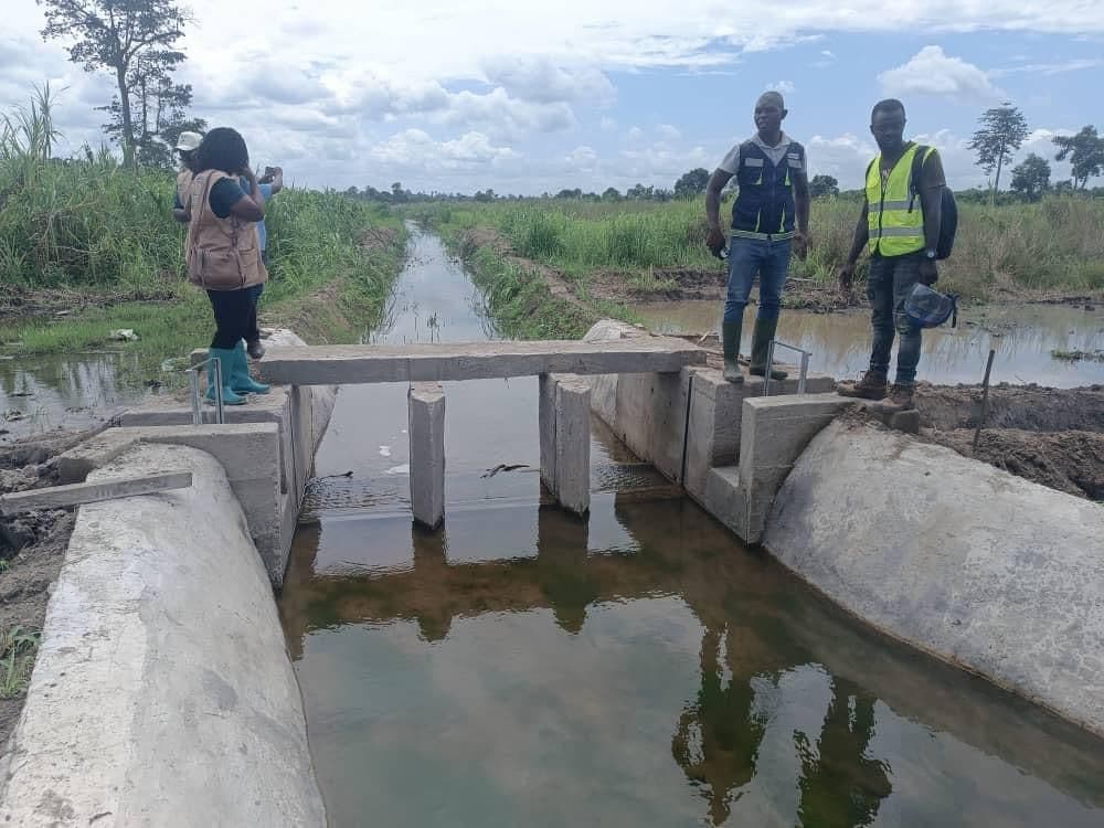 ADERIZ (Agence pour le Développement de la Filière Riz)  - image 42