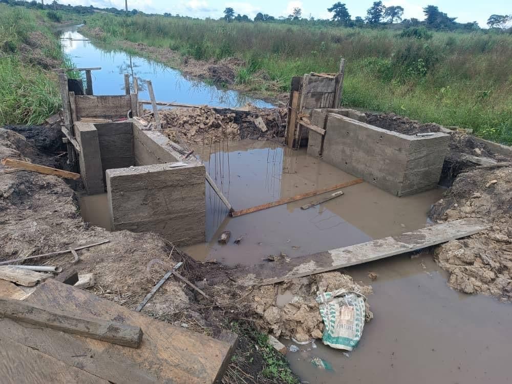 ADERIZ (Agence pour le Développement de la Filière Riz)  - image 43