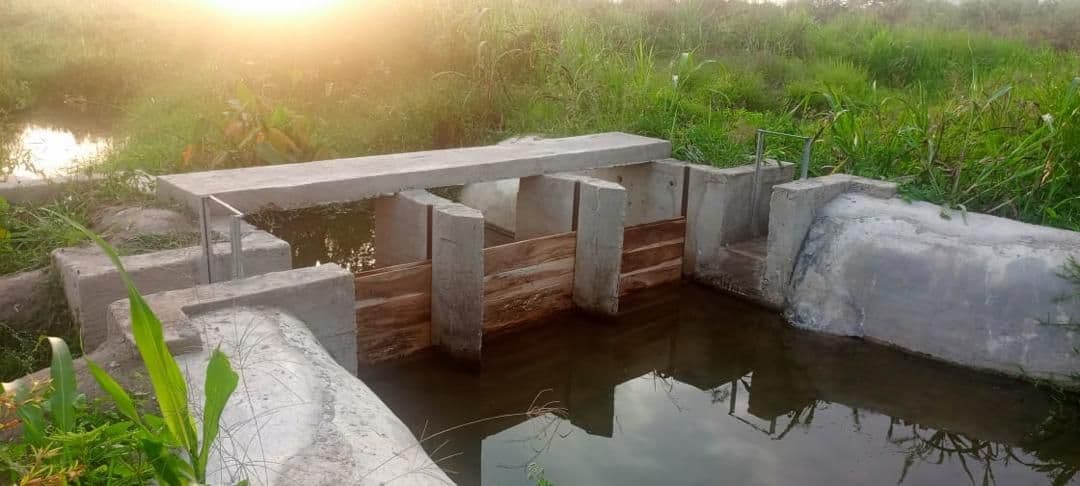 ADERIZ (Agence pour le Développement de la Filière Riz)  - image 46