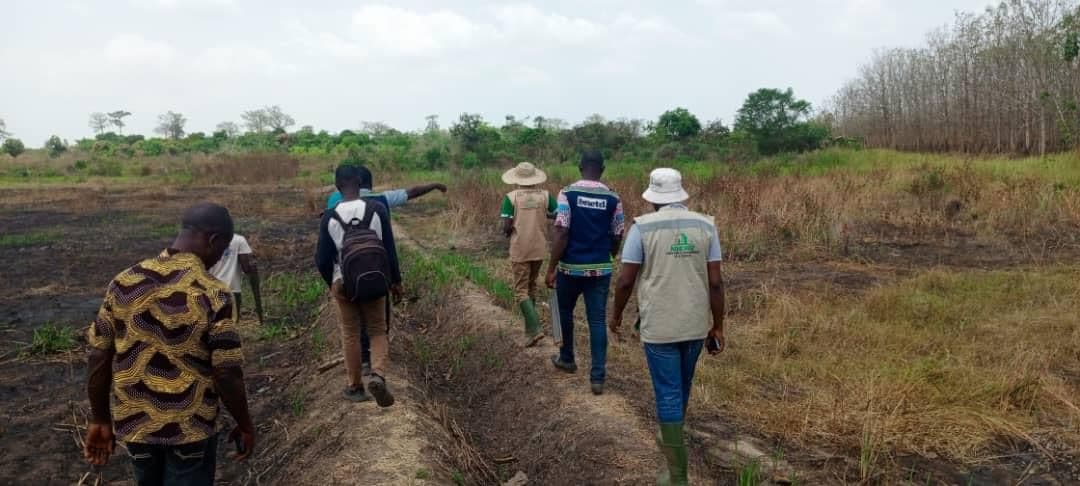 ADERIZ (Agence pour le Développement de la Filière Riz)  - image 47